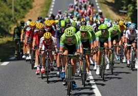 Тур де Франс, или Большая петля – ежегодное спортивное событие мирового значения. Интересные сведения