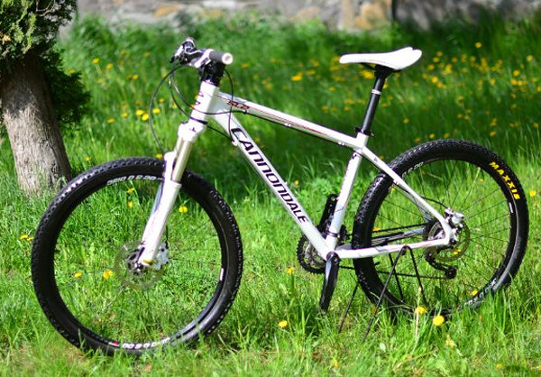 Cannondale Trail 6 29