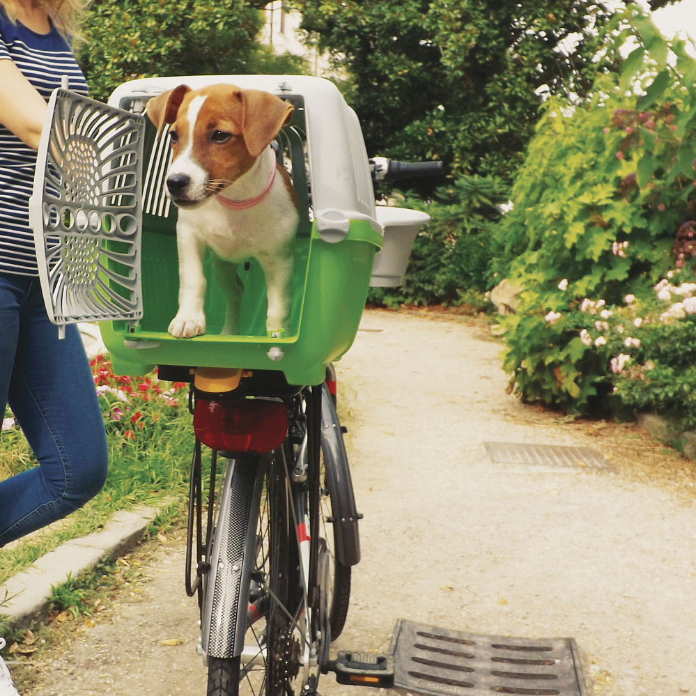 Bellelli shop bike basket