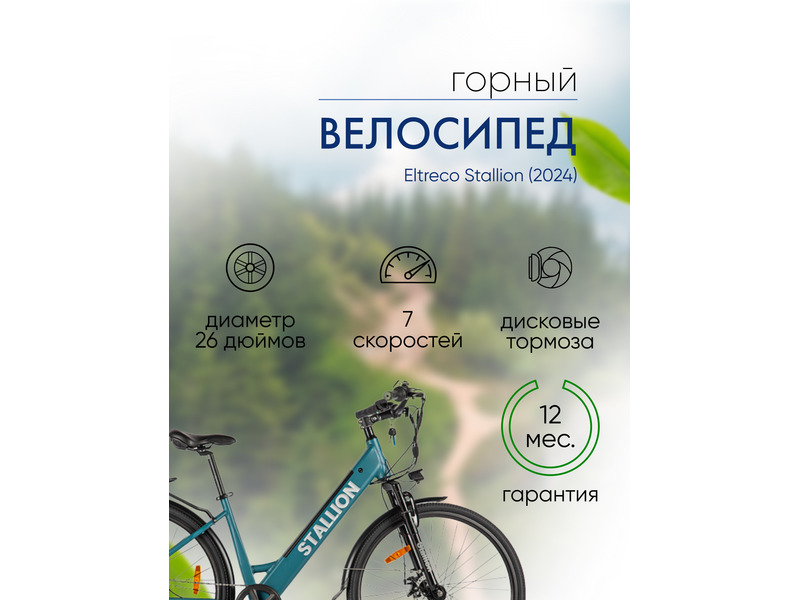 Фото Велосипед мужской, женский Eltreco Stallion 2024