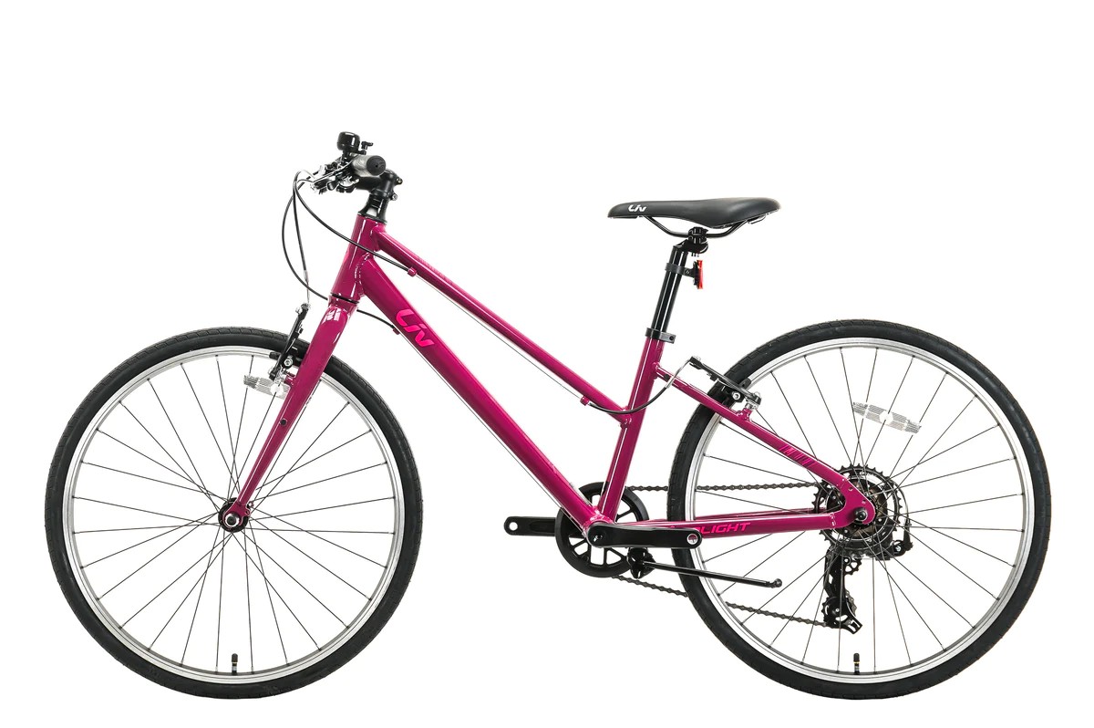 Подростковый велосипед Giant Alight 24, год 2022, цвет Фиолетовый