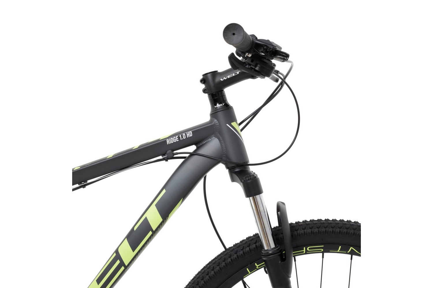 Горный велосипед Welt Ridge 1.0 HD 29, год 2024, цвет Серебристый, ростовка 18
