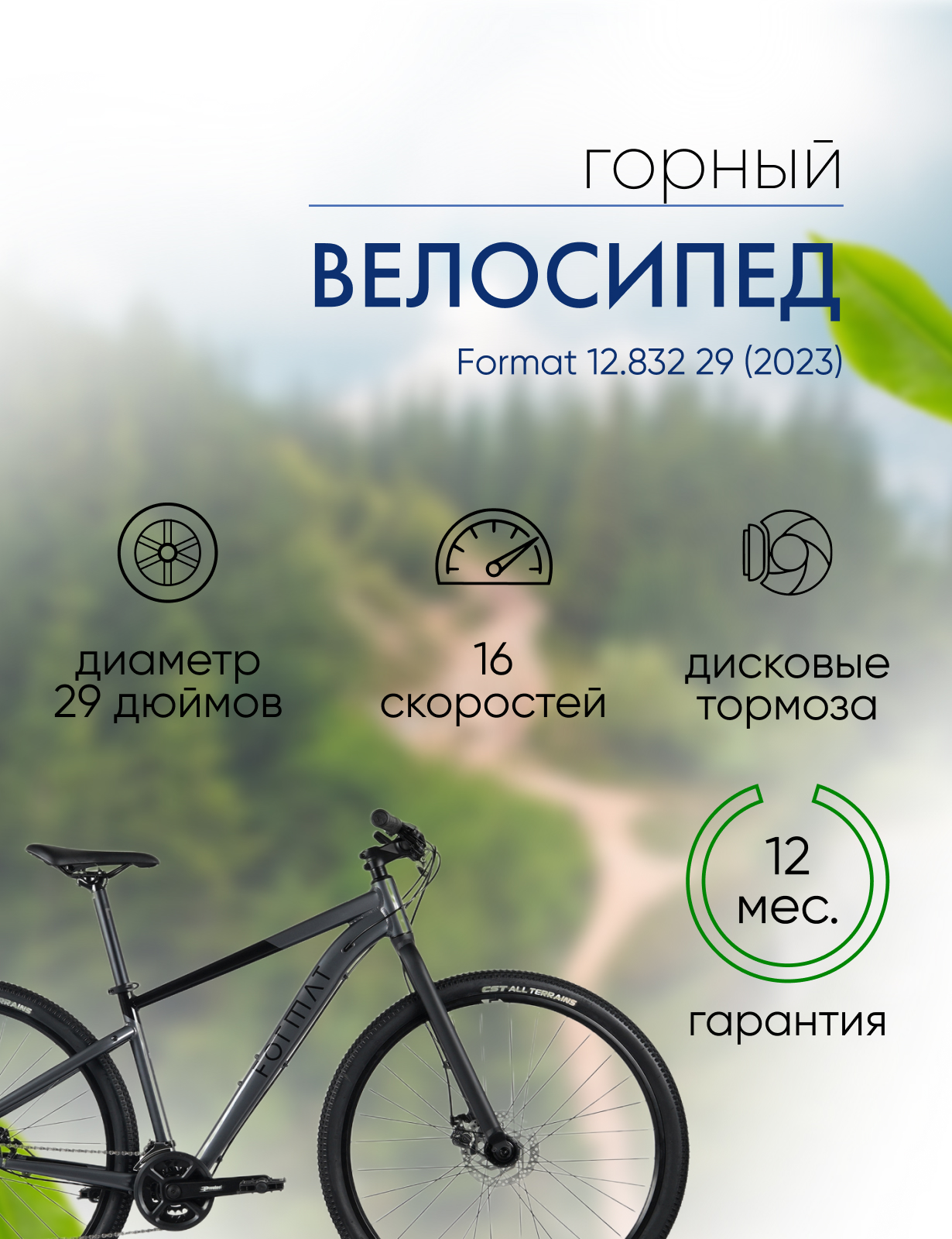 Горный велосипед Format 1432 29, год 2023, цвет Серебристый-Черный, ростовка 17