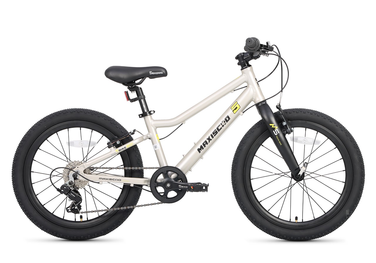 

Детский велосипед Maxiscoo 5Bike 20 L200, год 2025, цвет Серый, 5Bike 20 L200, год 2025, цвет Серый