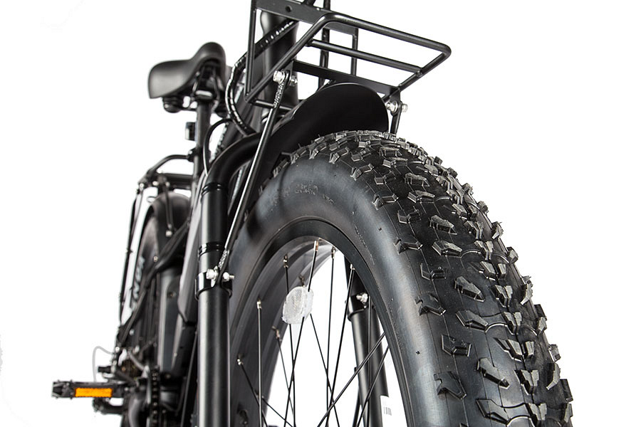 BigCat Dual Limited (2019)