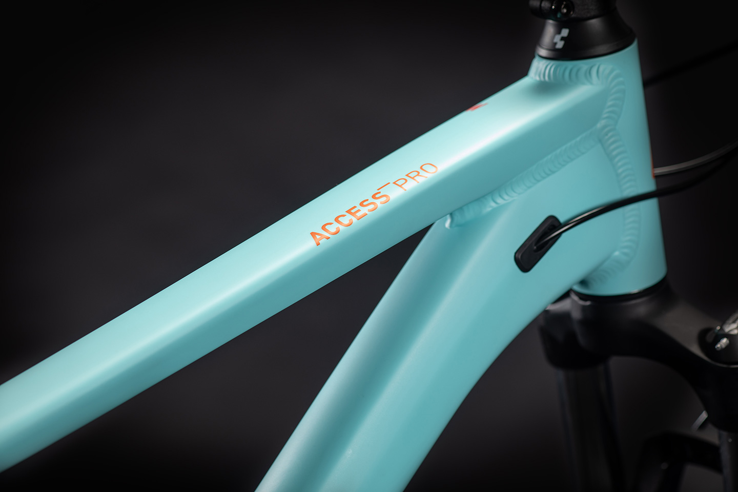 Access WS Pro 27.5 (2021)