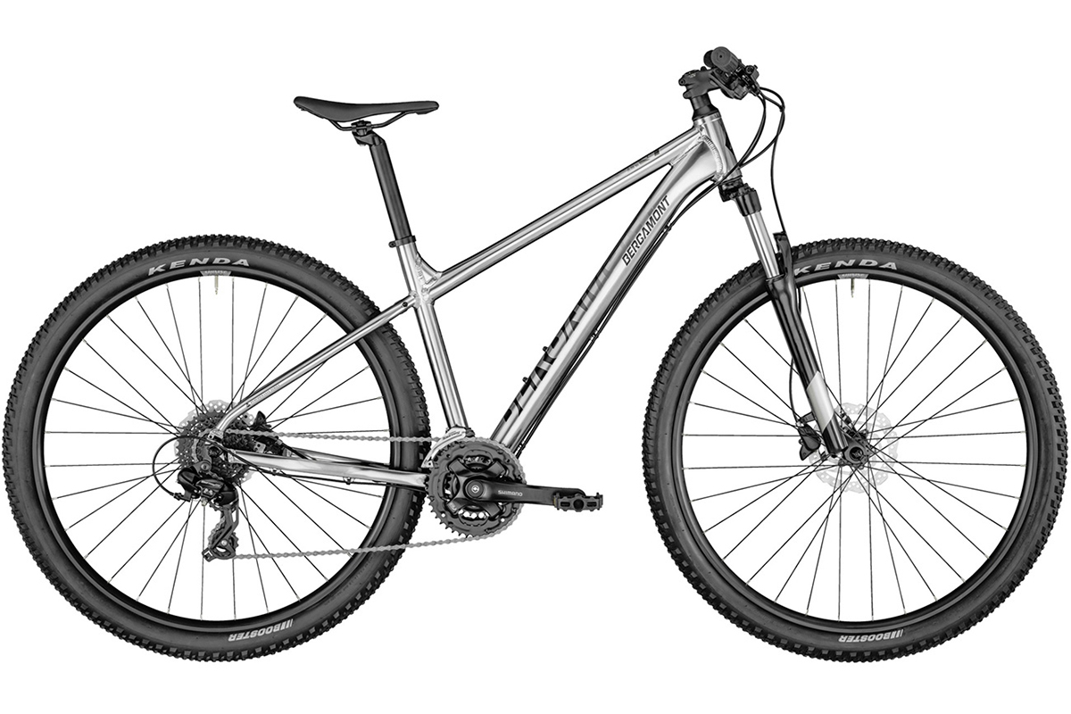 Горный велосипед Bergamont Revox 3 29, год 2021, цвет Серебристый, ростовка 17.5