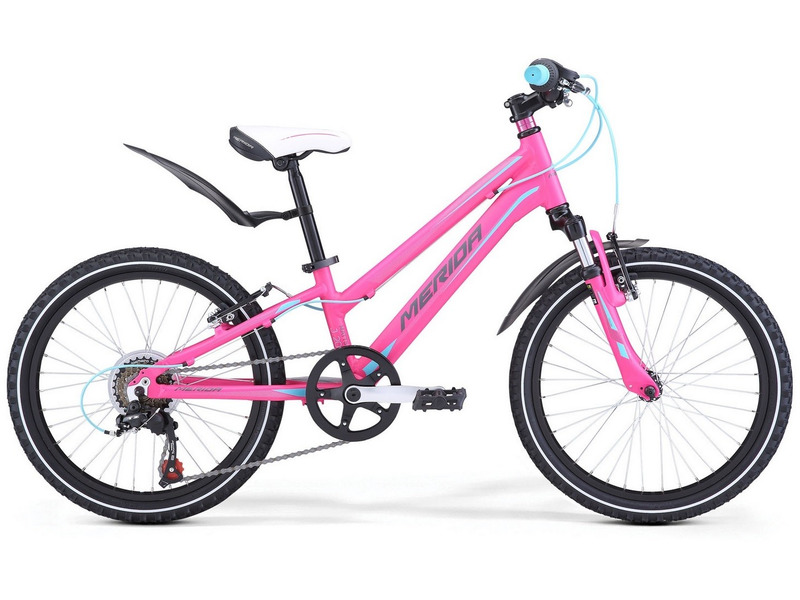 Фото Велосипед детский для мальчиков и девочек от 5 до 9 лет Merida Matts J20 Girl 2019