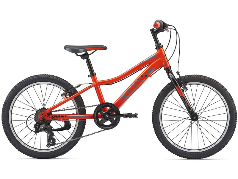 Фото Велосипед детский для мальчиков и девочек от 5 до 9 лет Giant XTC Jr 20 Lite 2019