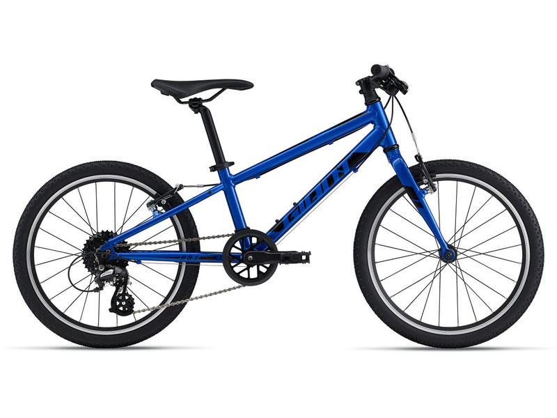 Фото Велосипед детский для мальчиков и девочек от 5 до 9 лет Giant ARX 20 2021