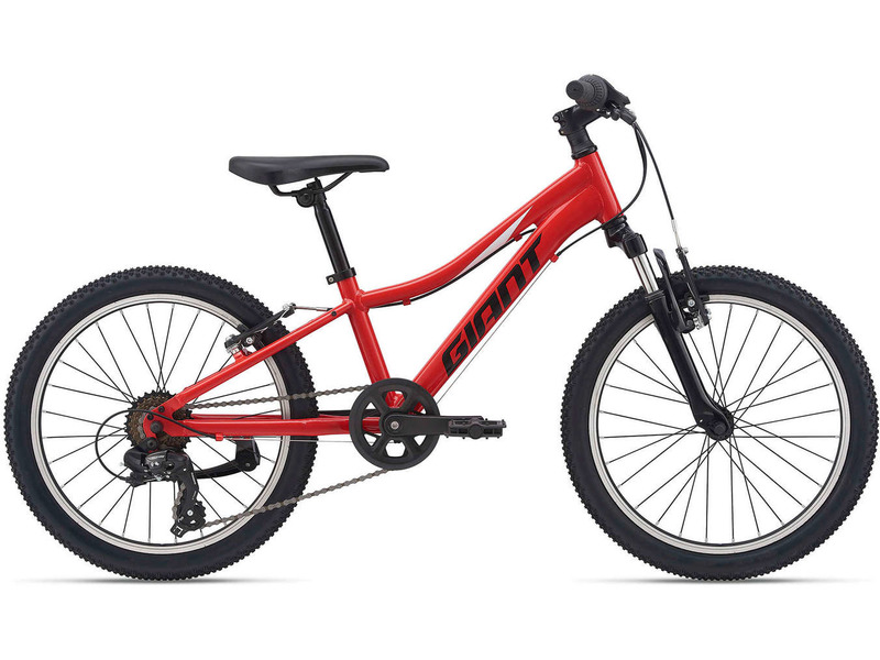 Фото Велосипед детский для мальчиков и девочек от 5 до 9 лет Giant XTC Jr 20 2021