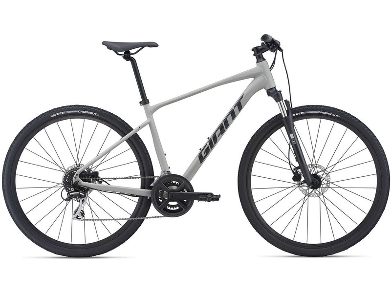 Фото Велосипед мужской Giant Roam 3 Disc 2021