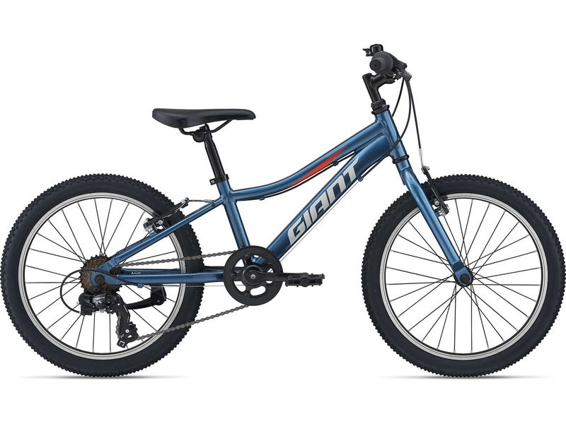 Фото Велосипед детский для мальчиков и девочек от 5 до 9 лет Giant XTC Jr 20 Lite 2021
