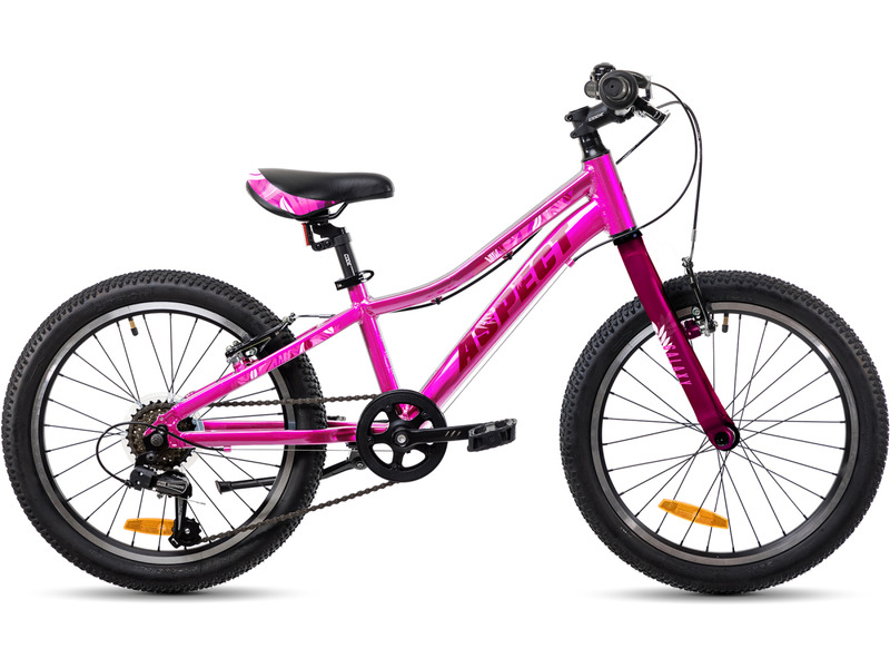 Фото Велосипед детский для девочек от 5 до 9 лет Aspect Galaxy 2023