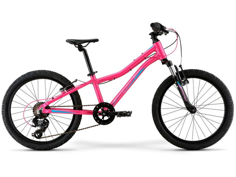 Фото Велосипед детский для мальчиков и девочек от 5 до 9 лет Merida Matts J.20 Eco 2023