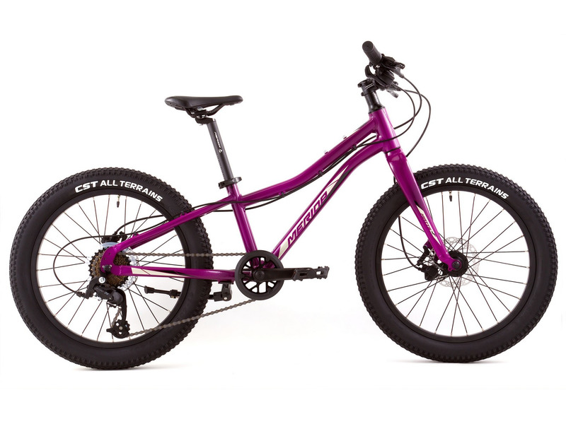 Фото Велосипед детский для мальчиков и девочек от 5 до 9 лет Merida Matts J.20+ Pro 2023