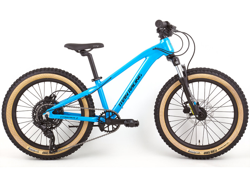 Детский велосипед Titan Racing Cerberus Jr 20, год 2024, цвет Синий