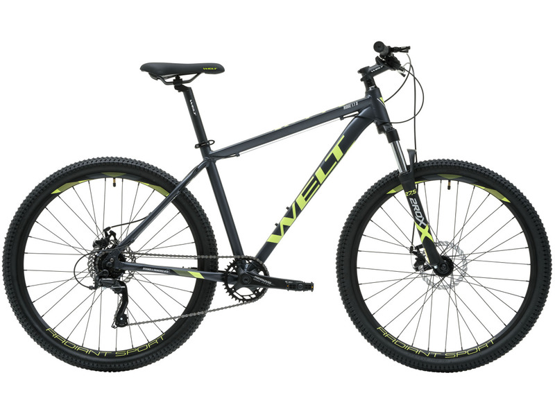 Горный велосипед Welt Ridge 1.1 D 29, год 2024, цвет Серебристый, ростовка 22
