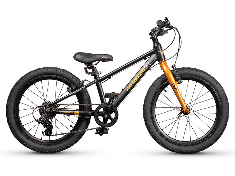 Детский велосипед Maxiscoo 5 Bike 20 M, год 2024, цвет Черный