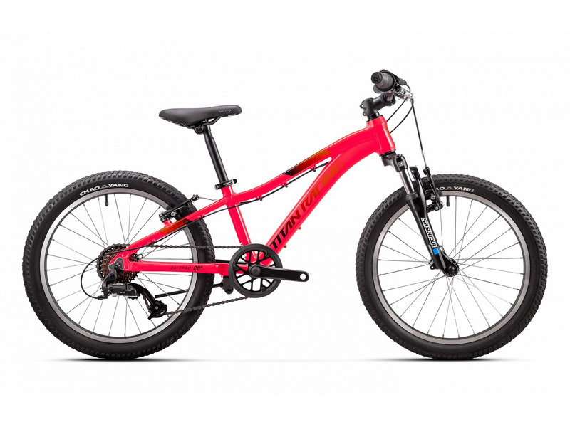 Фото Велосипед детский для девочек от 5 до 9 лет Titan Racing Calypso 20 M 2024