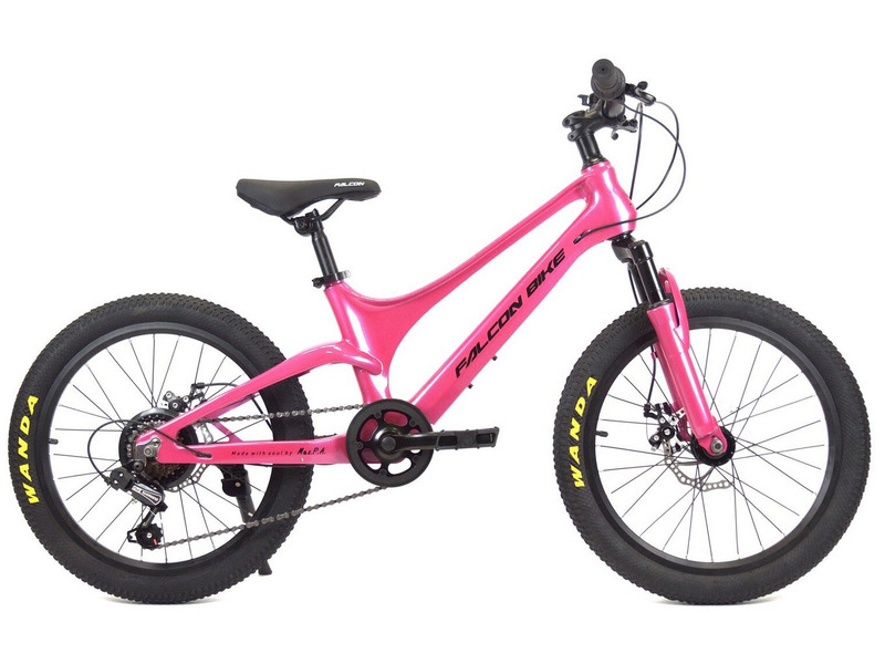 Фото Велосипед детский для мальчиков и девочек от 5 до 9 лет Falcon Bike Mild 20 2024