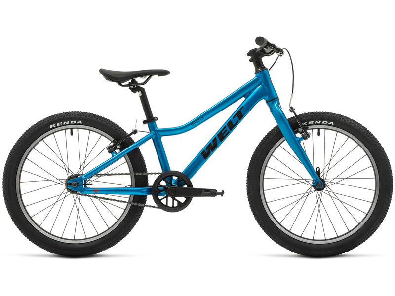 Фото Велосипед детский для мальчиков и девочек от 5 до 9 лет Welt Moovix 1.0 VB 20 2026