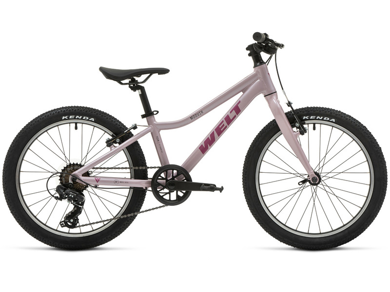 Фото Велосипед детский для мальчиков и девочек от 5 до 9 лет Welt Moovix 2.0 20 V 2026