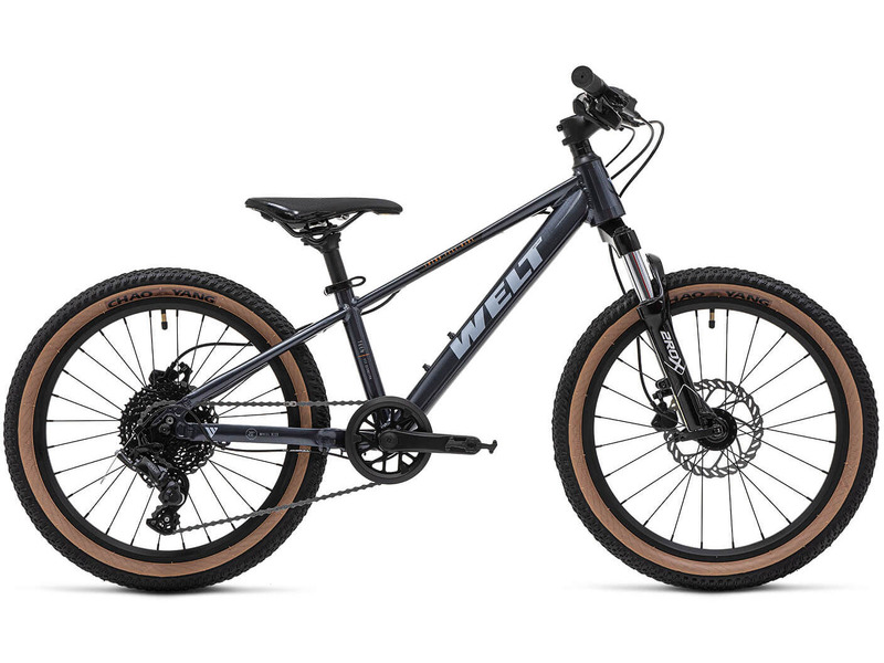 Фото Велосипед детский для мальчиков от 5 до 9 лет Welt Brave 2.0 20 HD 2026