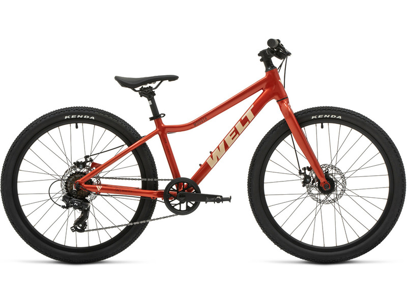 Фото Велосипед подростковый для мальчиков и девочек от 9 до 13 лет Welt Moovix 1.0 24 MD 2026