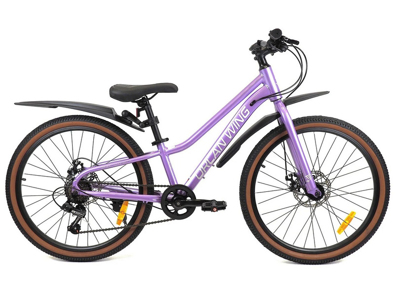 

Подростковый велосипед Falcon Bike Venus 1.0 24, год 2025, цвет Фиолетовый, ростовка, Venus 1.0 24, год 2025, цвет Фиолетовый, ростовка 12