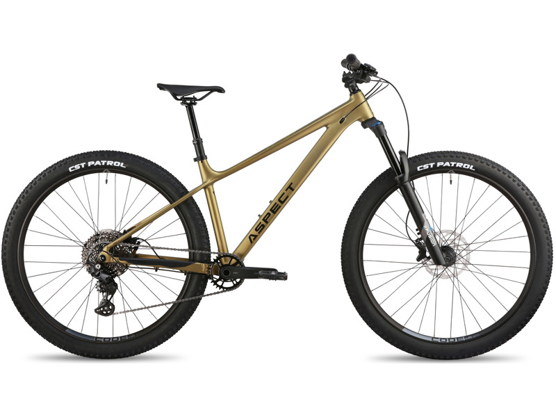 Фото Велосипед мужской Aspect Ronin 29 2026