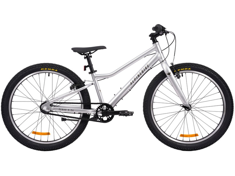

Подростковый велосипед Alpine Bike Pegas 3-24, год 2026, цвет Серый, Pegas 3-24, год 2026, цвет Серый