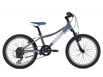 Велосипед Giant XTC Jr 20 (2015)