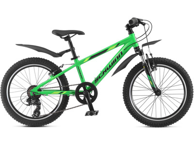 Велосипед Schwinn Thrasher 20 (2019)