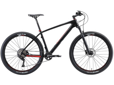 Велосипед Welt Carbon Race 29 (2020)