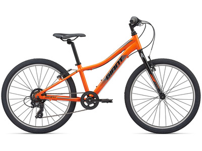 Велосипед Giant XTC Jr 24 Lite (2020)