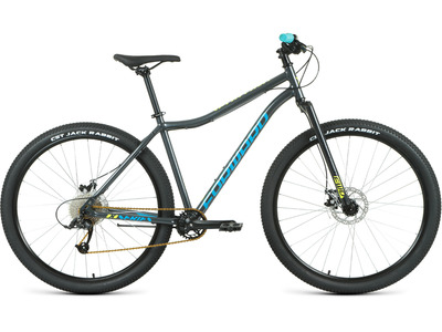 Велосипед Forward Sporting 29 X (2021)