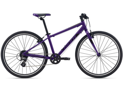Велосипед Giant ARX 26 (2021)