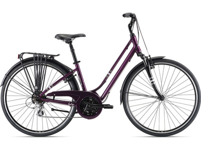 Велосипед Giant Flourish FS 2 (2021)