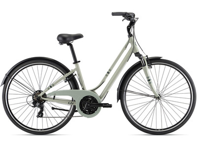 Велосипед Giant Flourish FS 3 (2021)