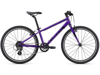 Велосипед Giant ARX 24 (2022)