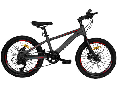 Велосипед Maxiscoo Horizon 20 7sp (2022)