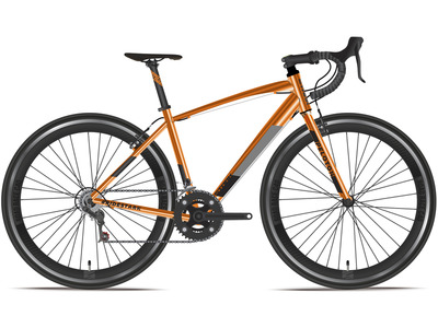 Велосипед Stark Peloton 700.1 D (2024)