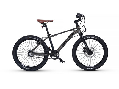 Велосипед Maxiscoo 7 Bike 20 Pro (2024)