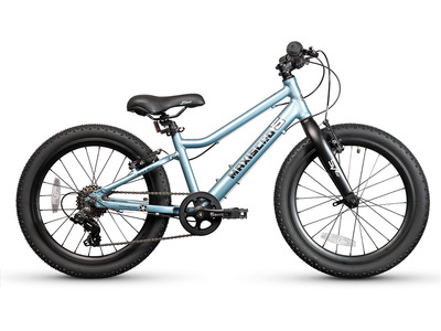 Велосипед Maxiscoo 5 Bike 20 L (2024)