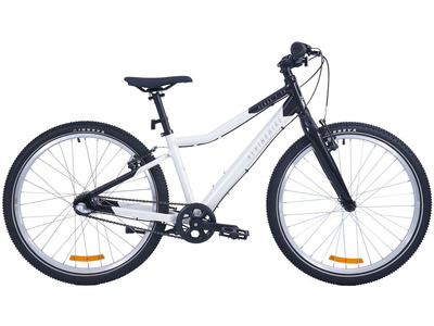 Велосипед Alpine Bike Pegas 3-24 (2025)