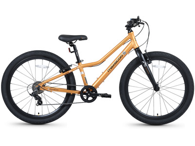 Велосипед Maxiscoo 5Bike 24 L (2026)