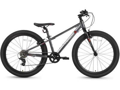 Велосипед Maxiscoo 5Bike 24 M (2026)