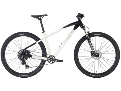 Велосипед Alpinebike Terra 9 (2025)