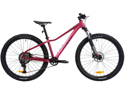 Велосипед Alpine Bike Terra 8W (2026)